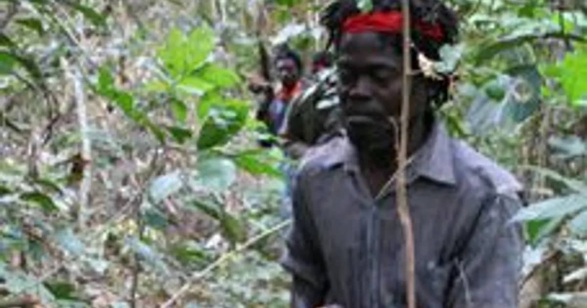 FAA lança ofensiva em Cabinda; FLEC denuncia
