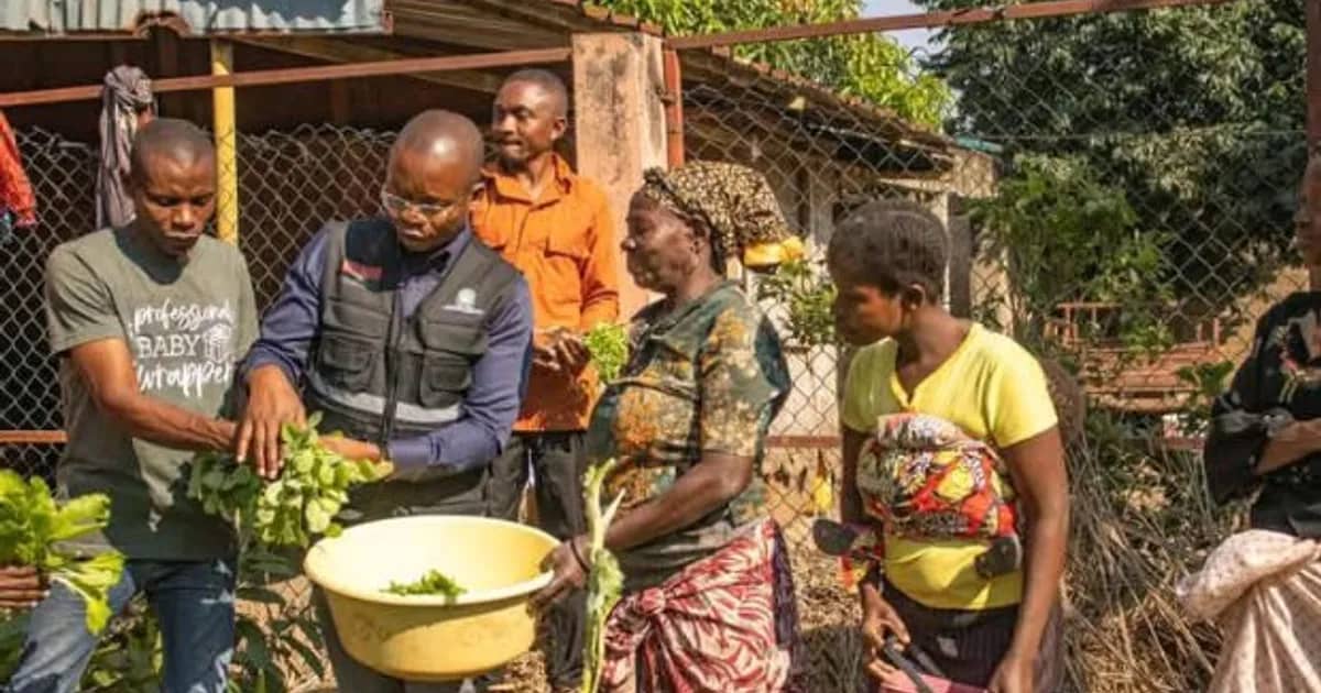 Famílias camponesas na Banga vão receber insumos agrícolas