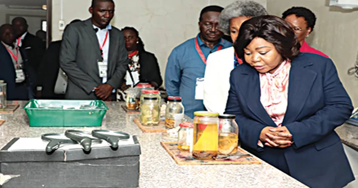 Angola cria 1.º laboratório de plantas medicinais