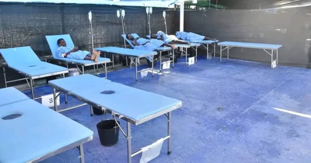 Cólera em Angola: 16 000 casos e 550 mortes
