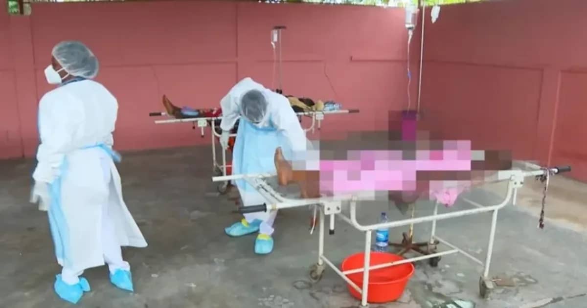 Cólera: 199 casos e 8 mortes em 24 h