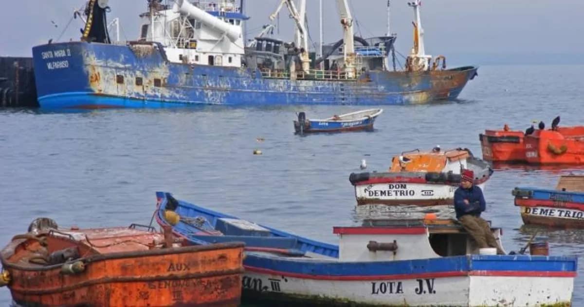 Proibição da Pesca de Carapau em Angola