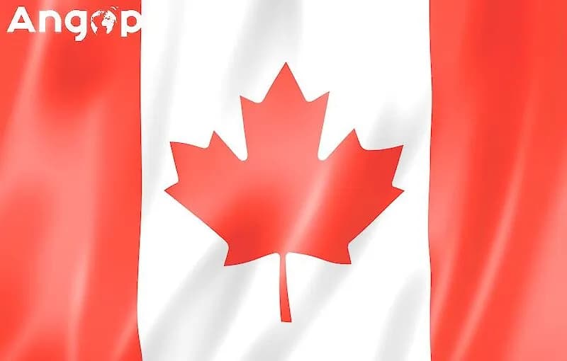 Canadá contra-ataca EUA com tarifas sobre mais de 700 produtos