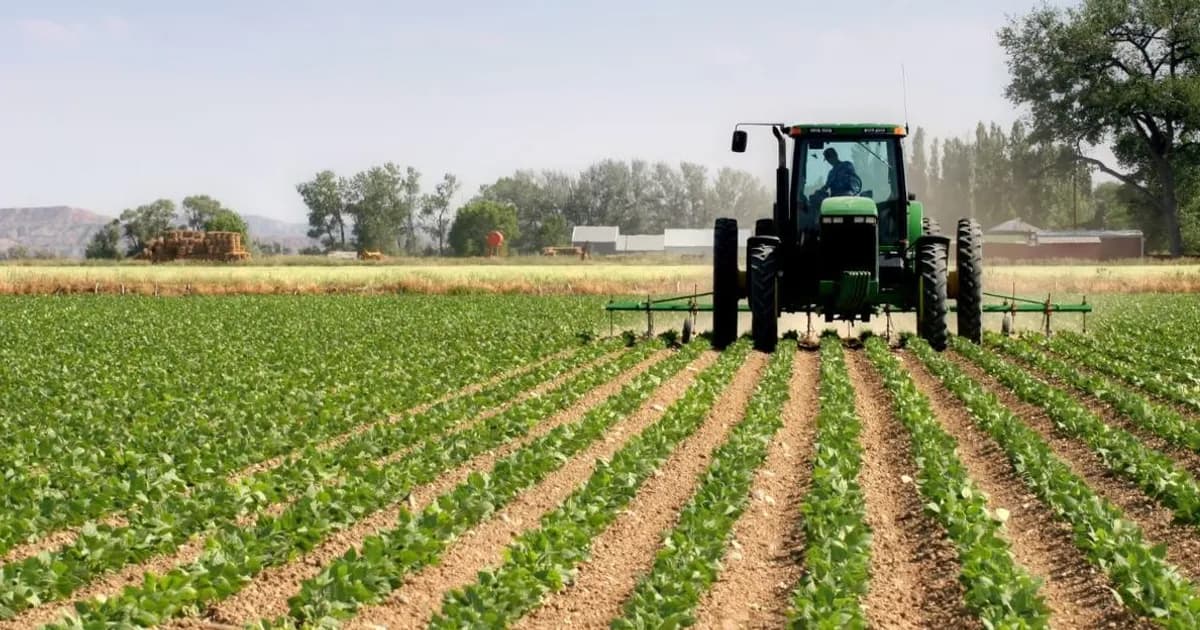 Indústria impulsiona crescimento da agricultura