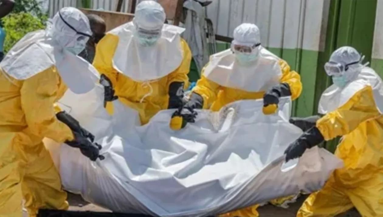 Surto de Ébola mata mais de 300 crianças na RDC