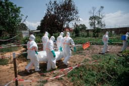Ébola na RDC avança em ritmo alarmante