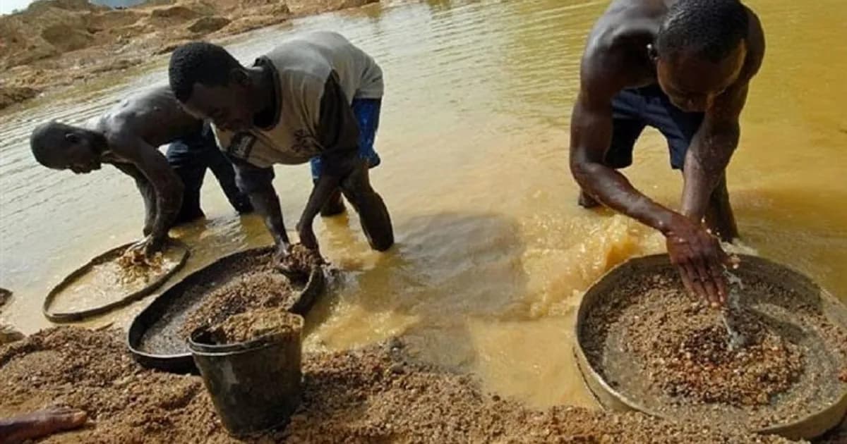 Repatriados mais de 600 cidadãos estrangeiros que se dedicavam ao garimpo ilegal na Lunda Norte