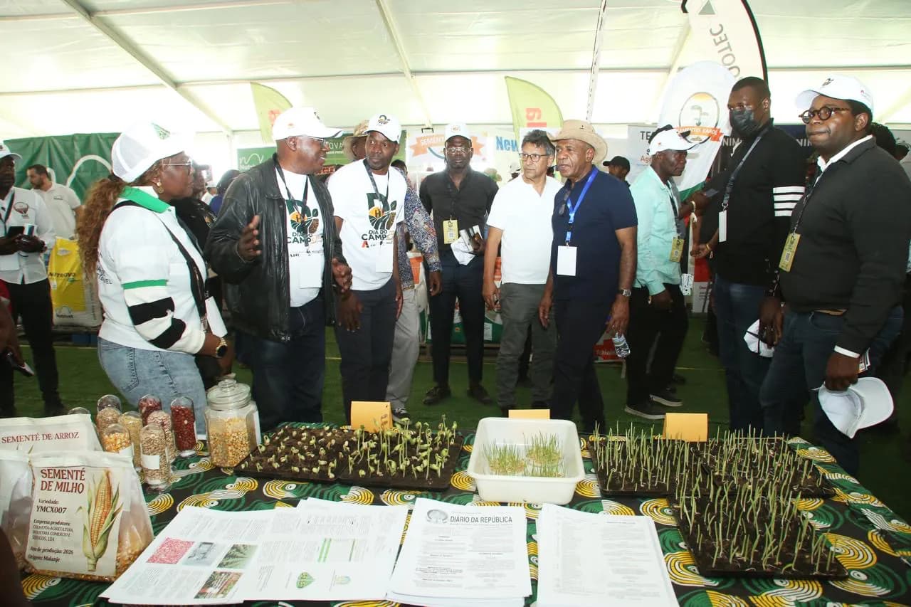 Feira mostra indicadores estratégicos para elevar sector Agrícola no país