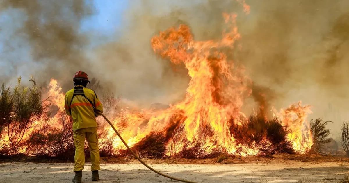 Timor-Leste apoia recuperação de incêndios