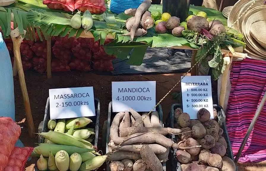 Feira prevê criar negócios acima de 100 milhões de kwanzas