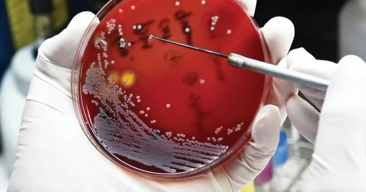 Cientistas descobrem nova classe de antibióticos naturais no corpo humano