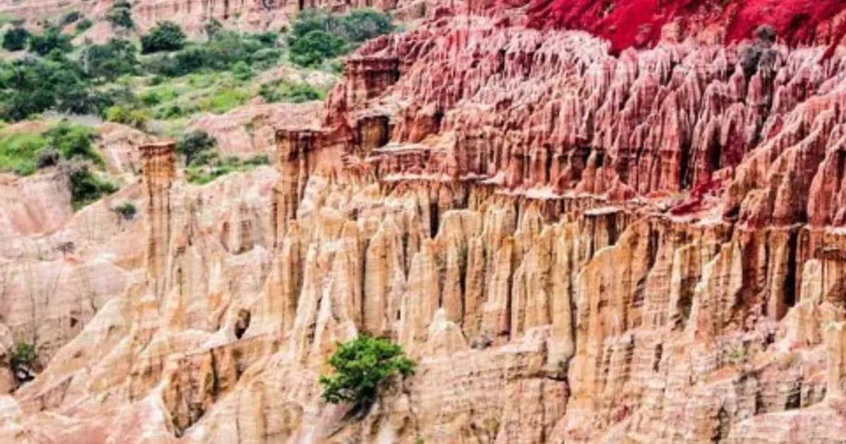Crescimento das Reservas da Biosfera Lusófonas