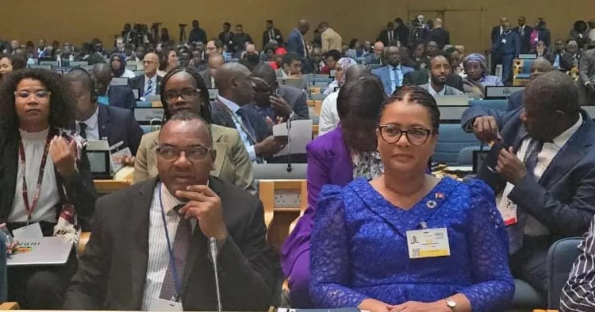 Decisões Fortalecem Estratégia Ambiental Africana