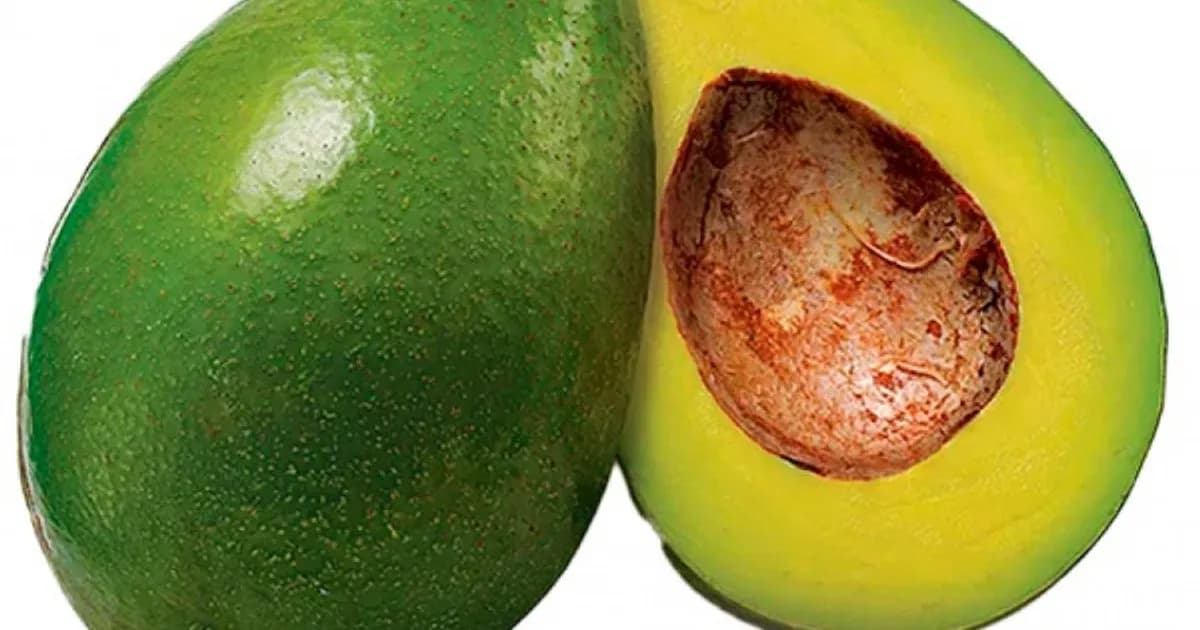 Países Baixos pretendem tornar Benguela num exportador de frutas secas