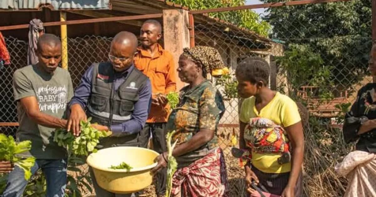 Famílias camponesas na Banga vão receber insumos agrícolas