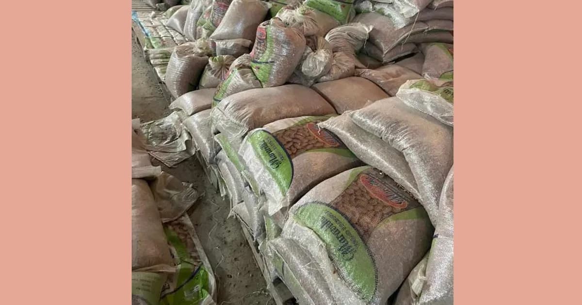 PN apreende dezenas de sacos de feijão deteriorado num armazém e detém três comerciantes