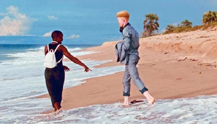 Filme angolano "Meu Semba" faz as malas para Lisboa a 28 de Agosto