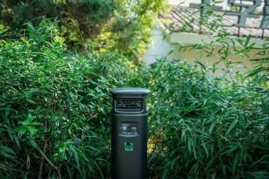 China testa projecto-piloto em parque para reduzir presença de mosquitos