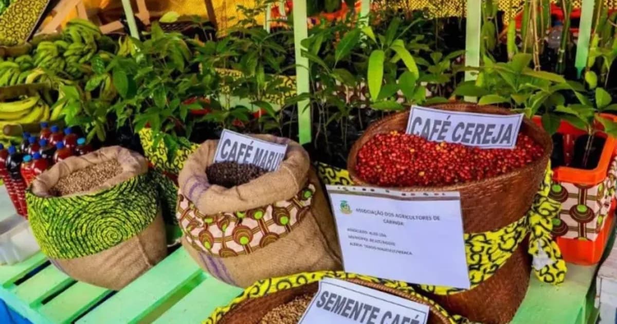 Expo-Cabinda 2025: negócios e inclusão financeira