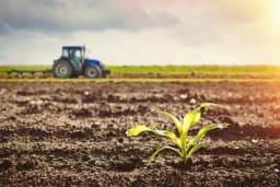 Angola recebe financiamento europeu para o sector Agrícola