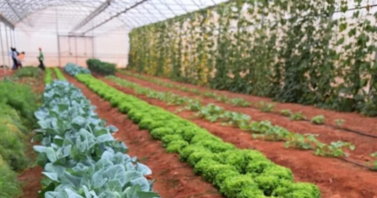 Janela Única agiliza concessão fundiária