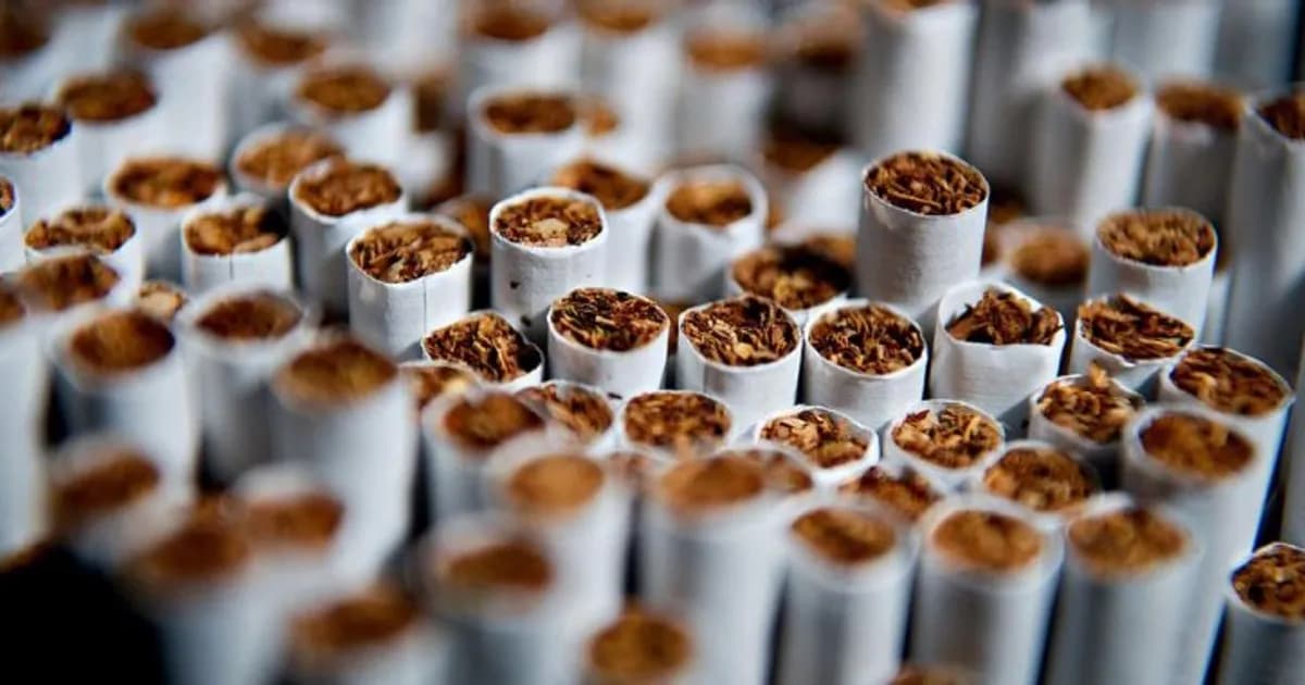 Rede de contrabando de tabaco desmantelada