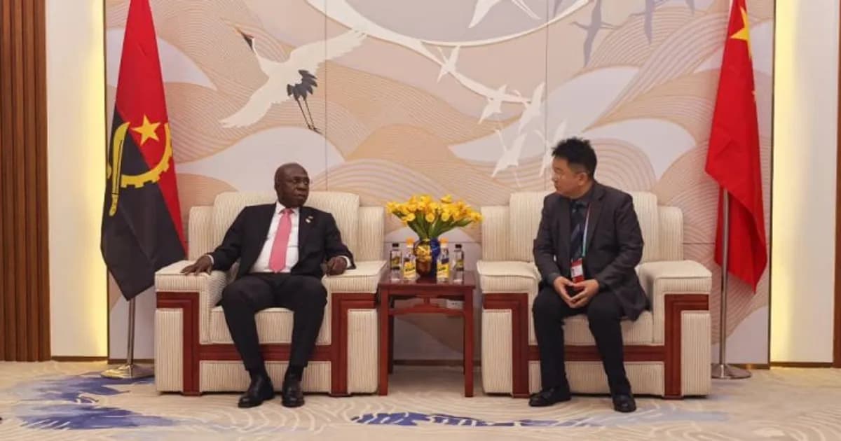 Empresário chinês quer investir na área do turismo de Angola