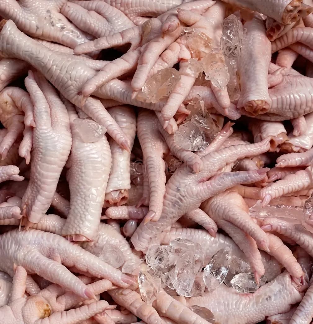 Executivo quer descobrir se derivados de frango proibidos são nacionais ou importados