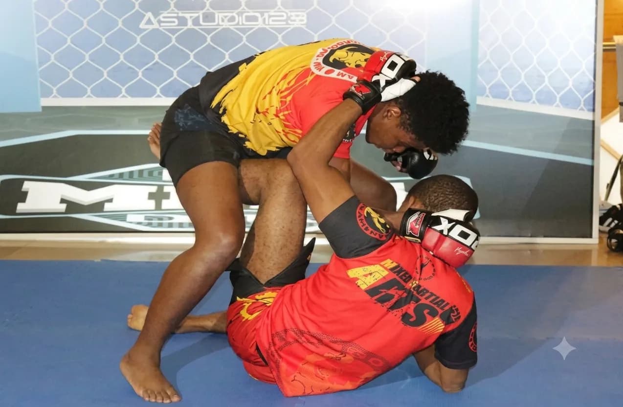 Mundial de MMA leva atletas internacionais à Arena do Kilamba