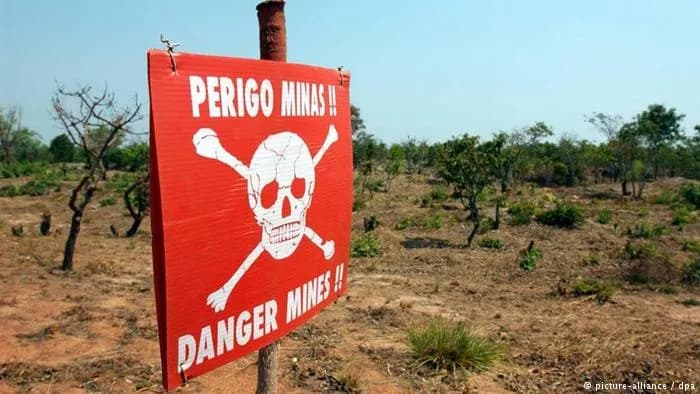 Executivo defende coordenação dos sectores para combater ameaça das minas