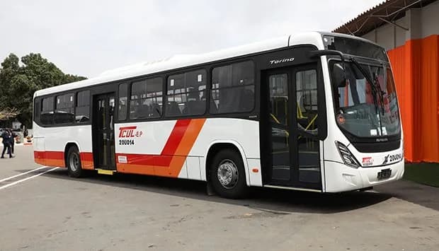 TCUL lança novo modelo operacional em Luanda