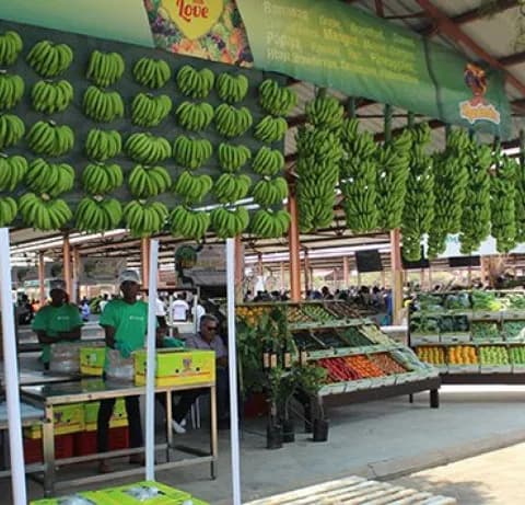 Feira da Banana bate 235 milhões Kz