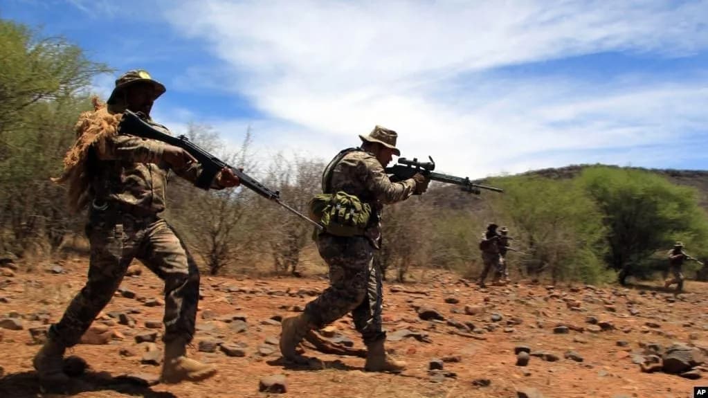 ONU aponta para 500 combatentes insurgentes em Cabo Delgado