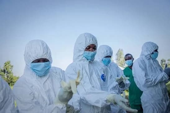 Ébola/RDC: Dimensão da epidemia leva OMS a pedir urgência na procura de uma vacina ou tratamento eficaz – Número de mortos aproxima-se dos 2.000