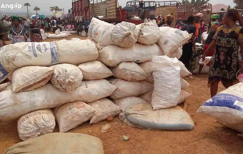 Preços de produtos agrícolas baixam em Mbanza Kongo