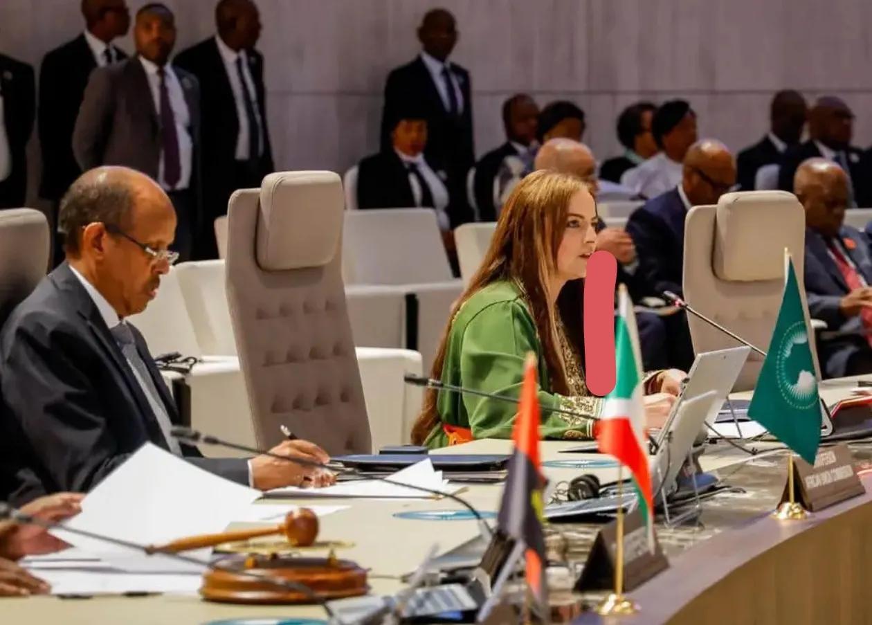 União Africana defende reformas urgentes nos mecanismos de prevenção e resolução de conflitos no continente
