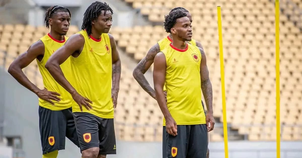 Palancas Negras: valorização e performance em alta