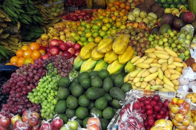 “Angola precisa produzir mais para acompanhar crescimento da população”, defendem especialistas
