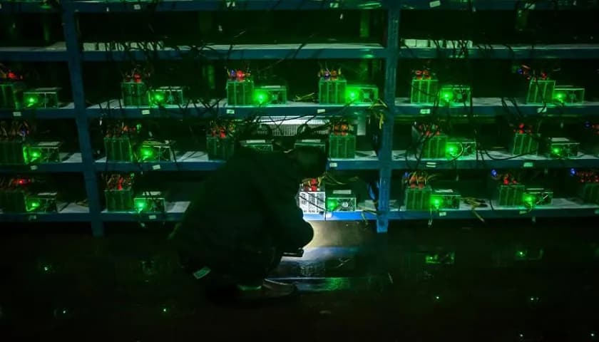 Desmantelado estaleiro de mineração ilegal