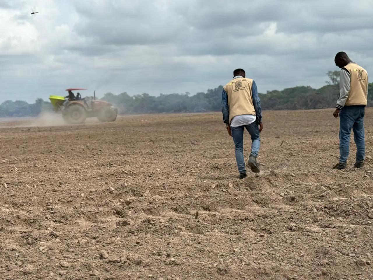 Food Life investe no arroz para autossuficiência