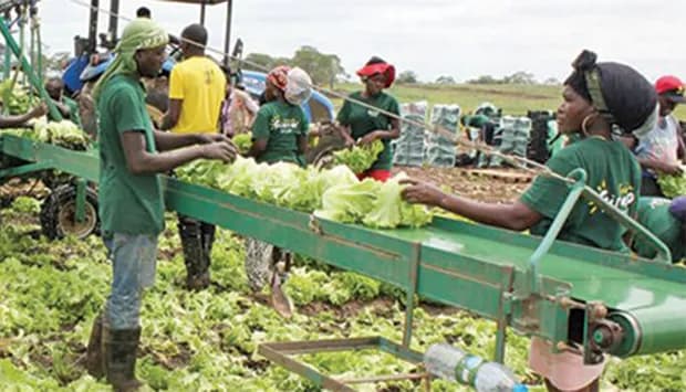 PIB de Angola cresce 8,74% no II trimestre