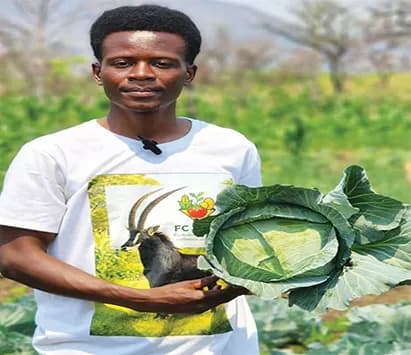 Jovem empreendedor no Andulo aposta na produção agrícola