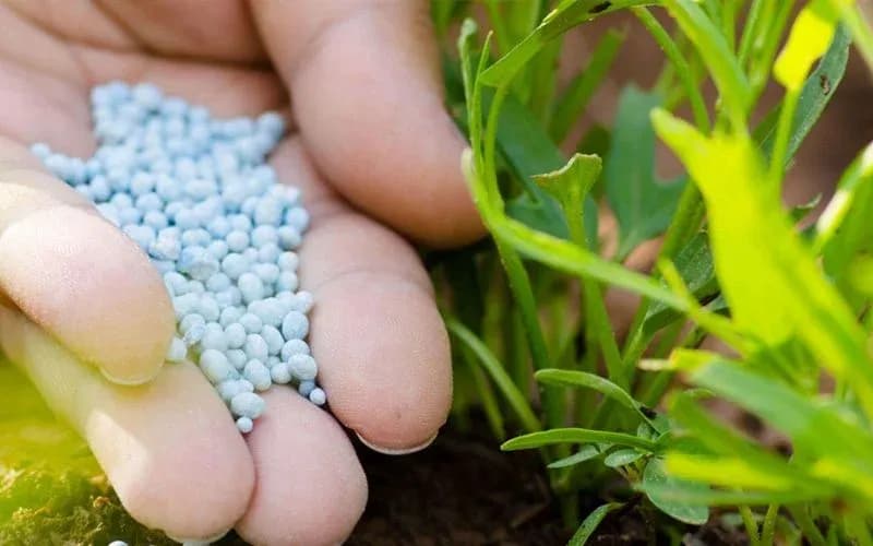 Fertilizantes: custos sobem e pressionam alimentação