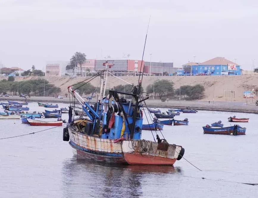 Aberta época de pesca do carapau depois de 60 dias de veda